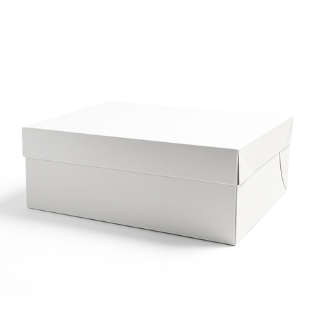 Oblong Cake Box