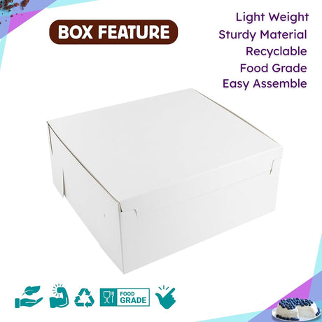 White Folding Box