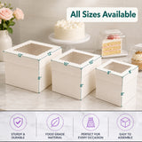 Window Cake Box